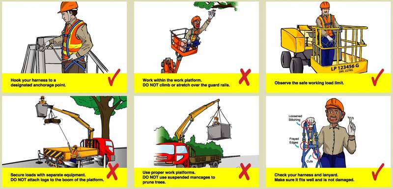 Thực Hiện Đúng Quy Trình Làm Việc